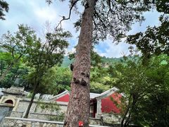 -北京上方山国家森林公园