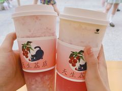 芝士活荔-果呀呀(国金街店)