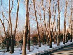 -长春公园(普阳街道)