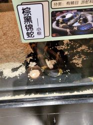 -Zoolung Zoolung动物主题公园(海信广场店)