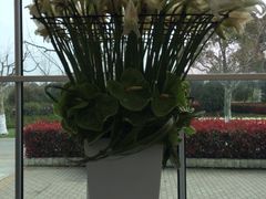 iphone_upload_pic-上海鲜花港