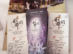 -影汇之星8字形摩天轮