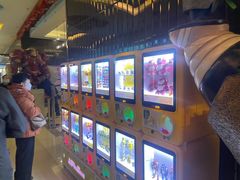-UME影城(安贞DTS:X店)