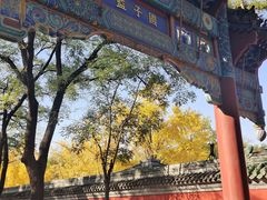 -北京国子监胡同