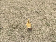-钟山体育运动公园