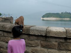 -白河堡水库