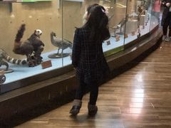 -陕西自然博物馆