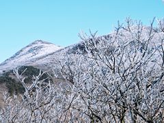 -安吉龙王山风景区
