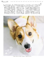 -ZOO KIDS象集摄影工作室(西城公馆店)