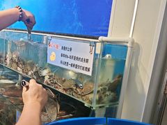 -仙螺岛海鲜自助餐厅(总店)