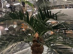 -上海龙之梦万丽酒店