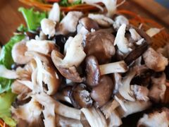 -易门野生菌府·菌海森林(月牙潭公园店)
