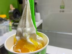 -Salud撒露欧洲冻酸奶(北苑上品店)