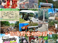 -栾川竹海野生动物园