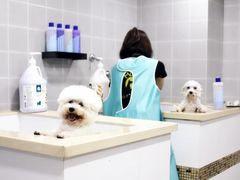 -诺诺宠屋(欧洲城店)