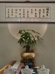 -养笙记·艾灸美容养生·轻养生活馆