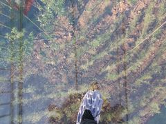 -江苏三台山国家森林公园