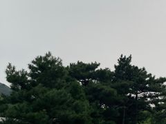 -燕塞湖鸟语林景区