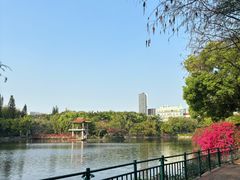 -深圳龙潭公园