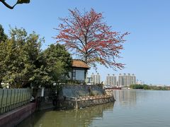 -喜洲吧·江畔老船厂·庭院餐厅(喜临院店)