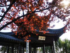 -苏州太湖湖滨国家湿地公园