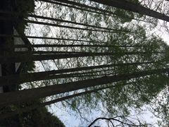 iphone_upload_pic-汇龙潭