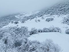 -太子岭滑雪场