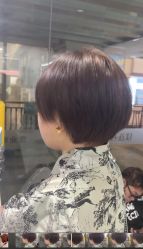 -镁连社·美联社