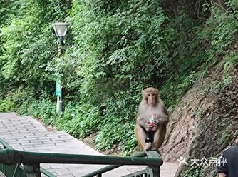 黔灵山公园本身有山有水还有庙，就是一个值得一游的地方
