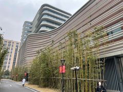 -上海市徐汇区口腔医院