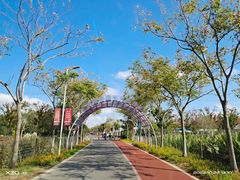 -上海长兴岛郊野公园