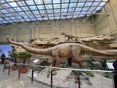 -国家自然博物馆