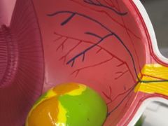 -武汉大学附属爱尔眼科医院(湖北总院)