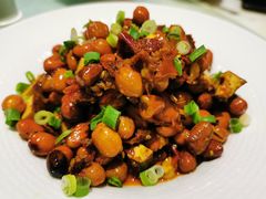 麻辣花生-北京老铺烤鸭(西稍门店)