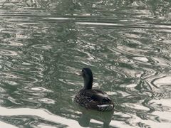 -祥源·阜阳生态乐园