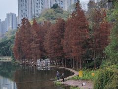 -重庆彩云湖湿地公园