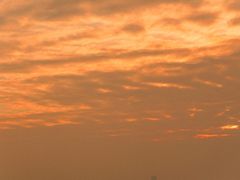 -深圳湾公园(南山区)