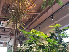 -Wagas沃歌斯(北京君太百货店)