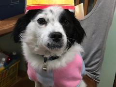 -卡漫莫尼蛋糕(徐汇店)