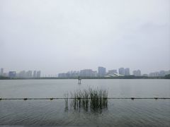 -天鹅湖体育公园