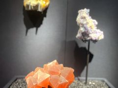 -山东博物馆
