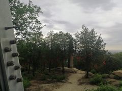 -白水寺森林公园