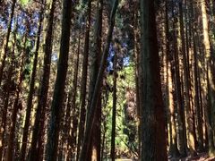 -山王坪喀斯特国家生态公园