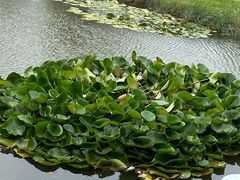 -卧龙湖