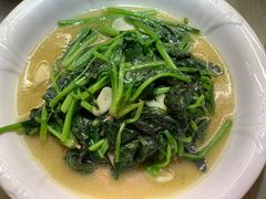 -鹂纪蜀留香