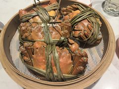 -杨氏青龙虾·羊蝎子(托乐嘉店)