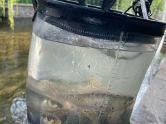 -花盐街·四川乐山小吃(西单大悦城店)