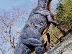 -济南野生动物世界