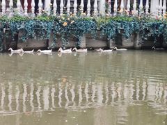 -金庭庄园酒店-停车场