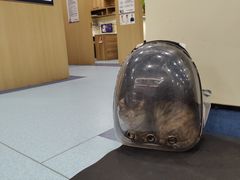 -萌兽医馆·犬猫专科·眼科中心·宠物医院(朝阳门分院)